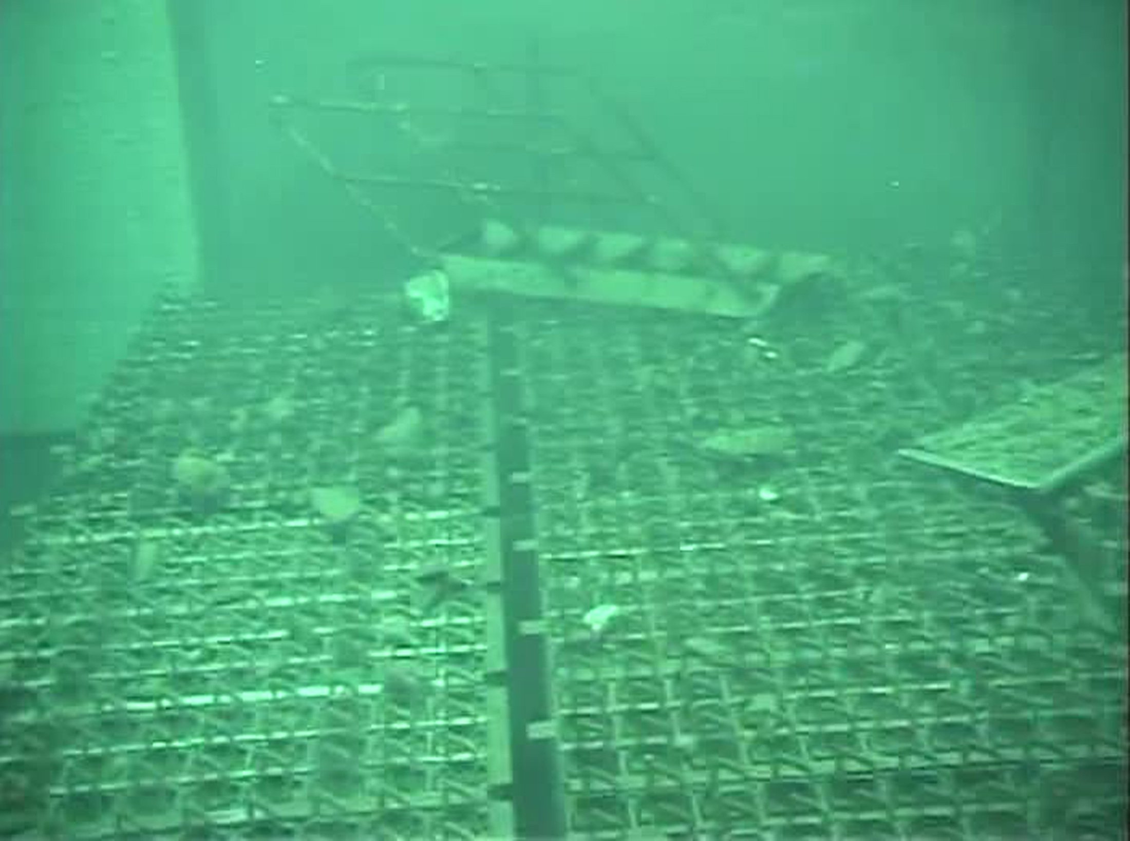 Japan Nuclear Water