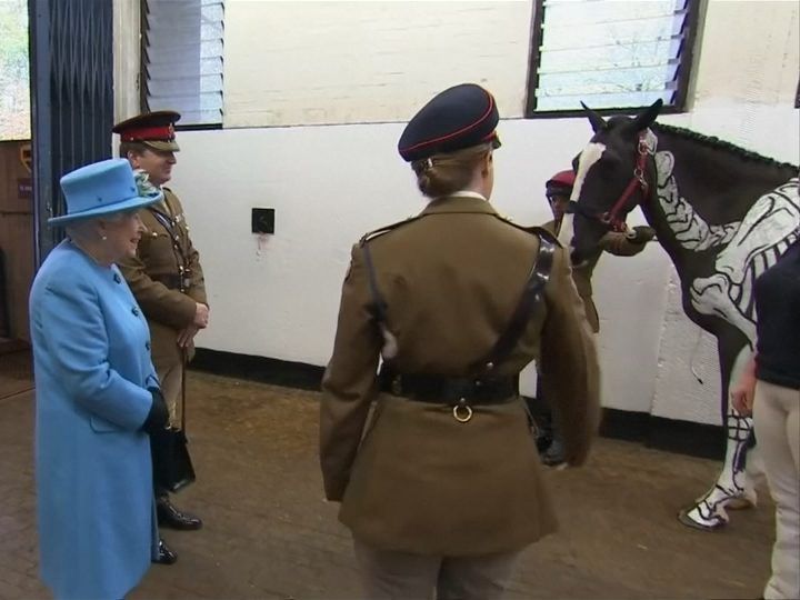 Queen Elizabeth zeigte großes Interesse am "verkleideten" Pferd.