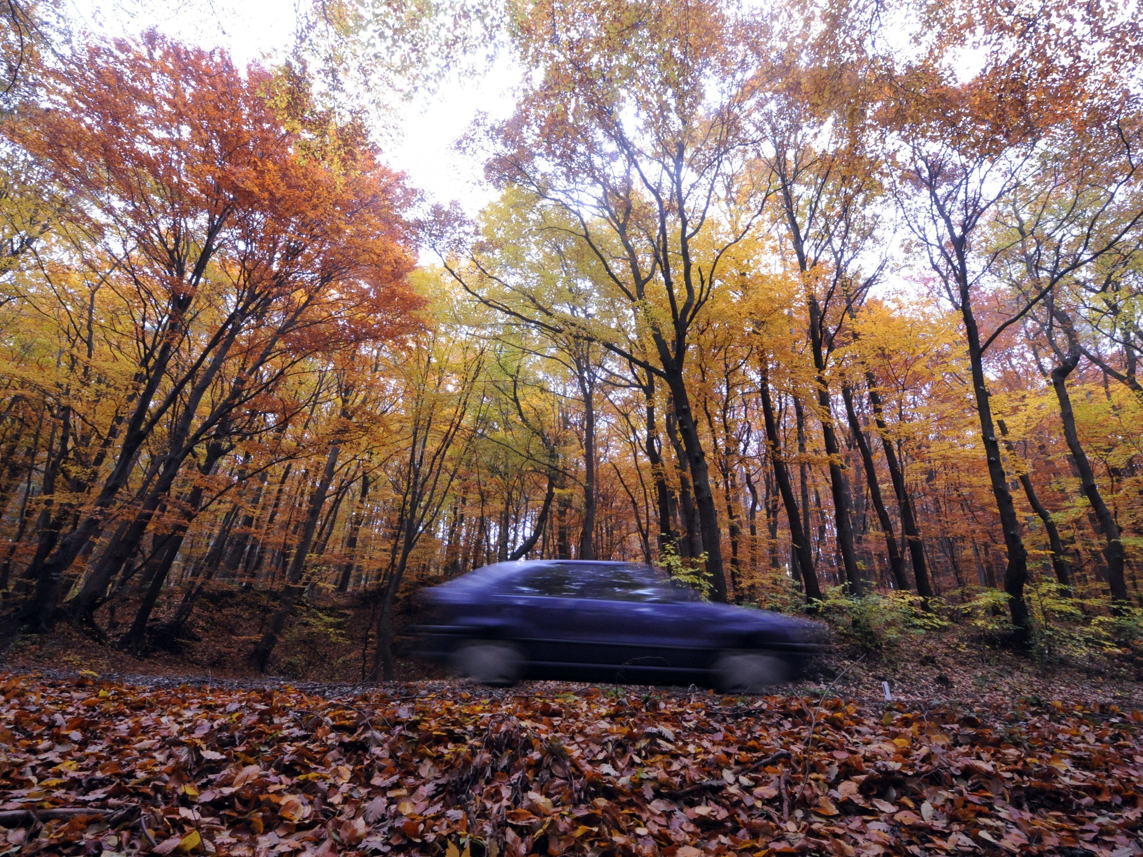 Mit diesen Tipps kommen Sie sicher durch den Herbst.