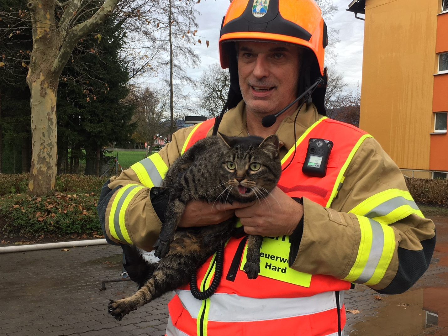 Die Feuerwehr rettete eine Katze aus dem Gebäude in Hard.