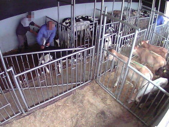 Die teils schockierenden Bilder aus Vorarlberg sorgten für viele Reaktionen aus der Bevölkerung.