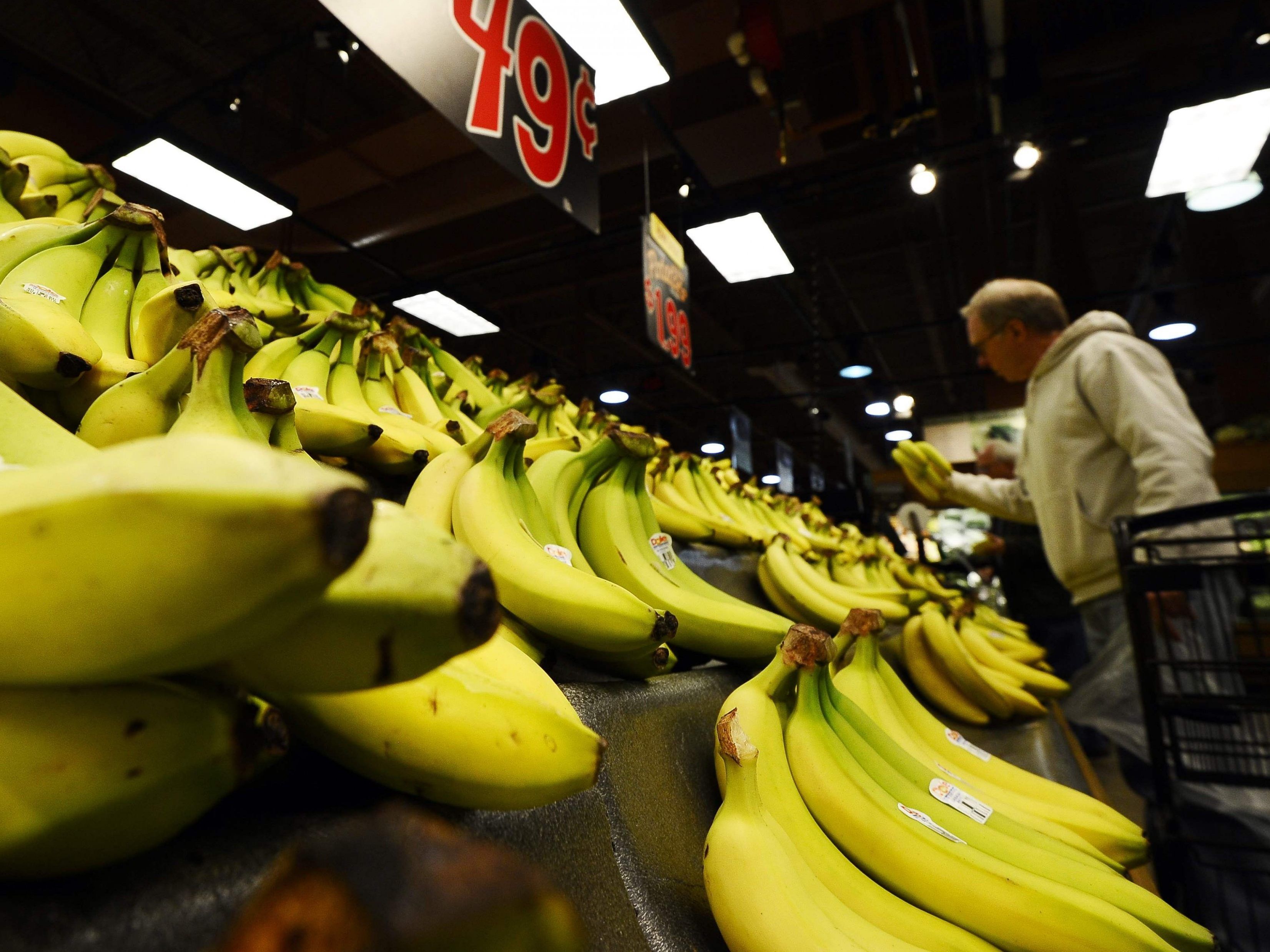 Das Kokain war zwischen Bananen versteckt.