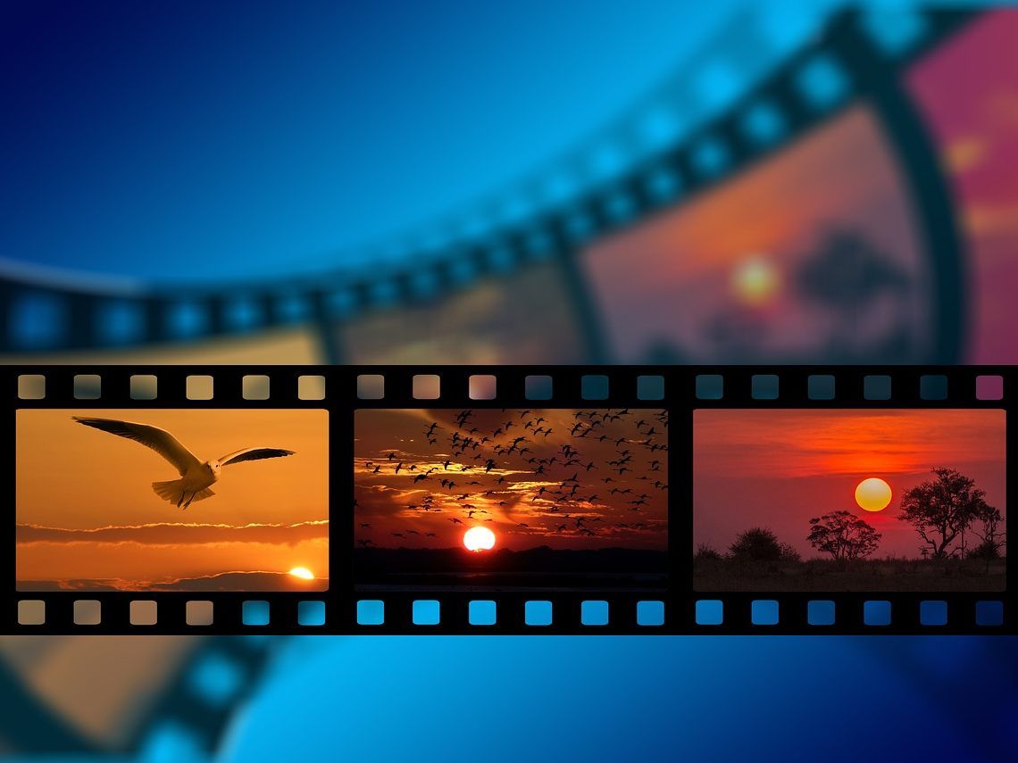 Die beliebtesten Videos des Jahres 2017 auf VOL.AT.