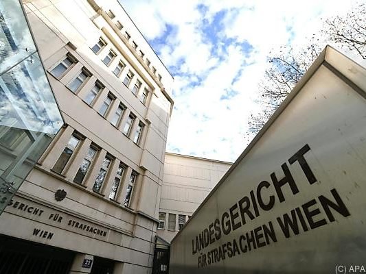 Prozess im Wiener Straflandesgericht begann am Mittwoch