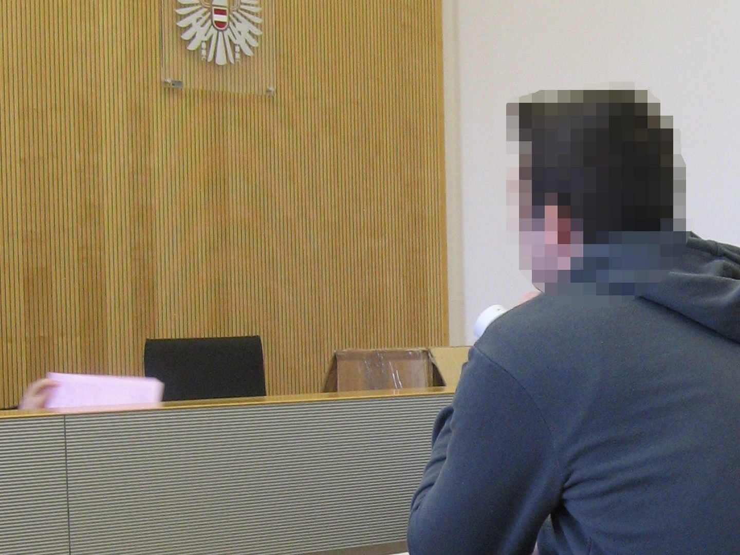 Geldsteafe plus sechs Monate Haft für fahrlässige Körperverletzung.