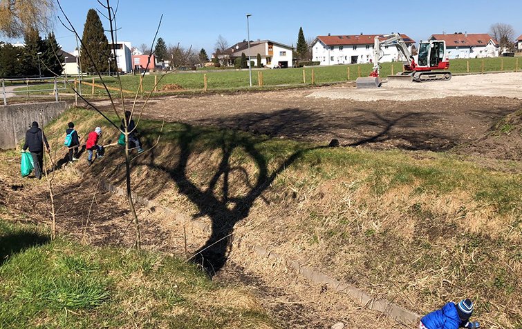 lansdschaftsreinigung