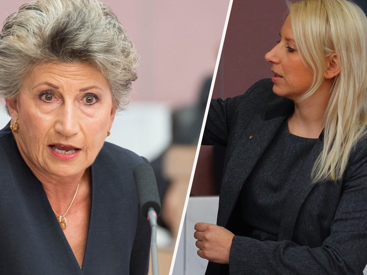 Die FPÖ-Frauen kritisieren die Wortwahl in der Diskussion um ein Familinprämie in Schwarzenberg.