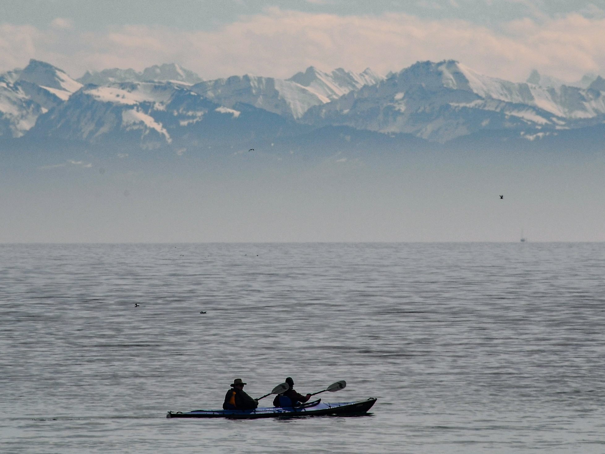 Erstmals seit 2006 ist der Bodensee vollständig mit Sauerstoff gesättigt.