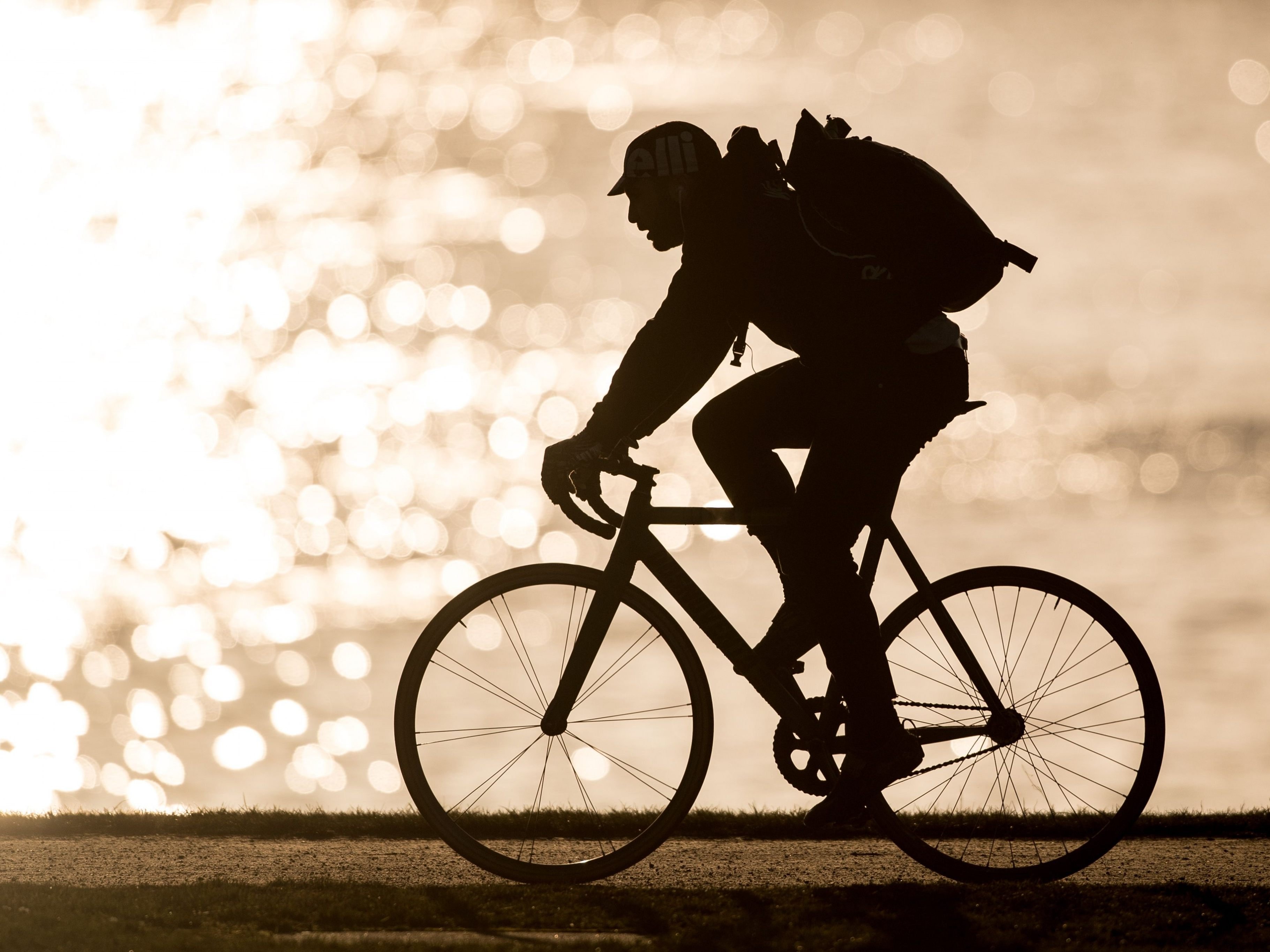 Jeder zweite Arbeitsweg in Vorarlberg könnte mit dem Fahrrad bewältigt werden.