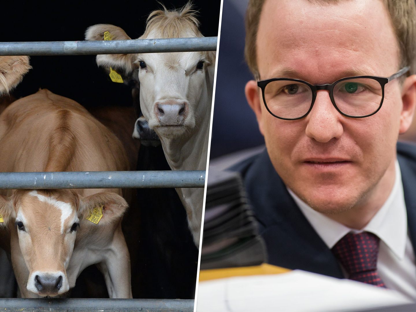Landesrat Gantner schrieb jetzt einen offenen Brief an Tierschützer Steinacher.