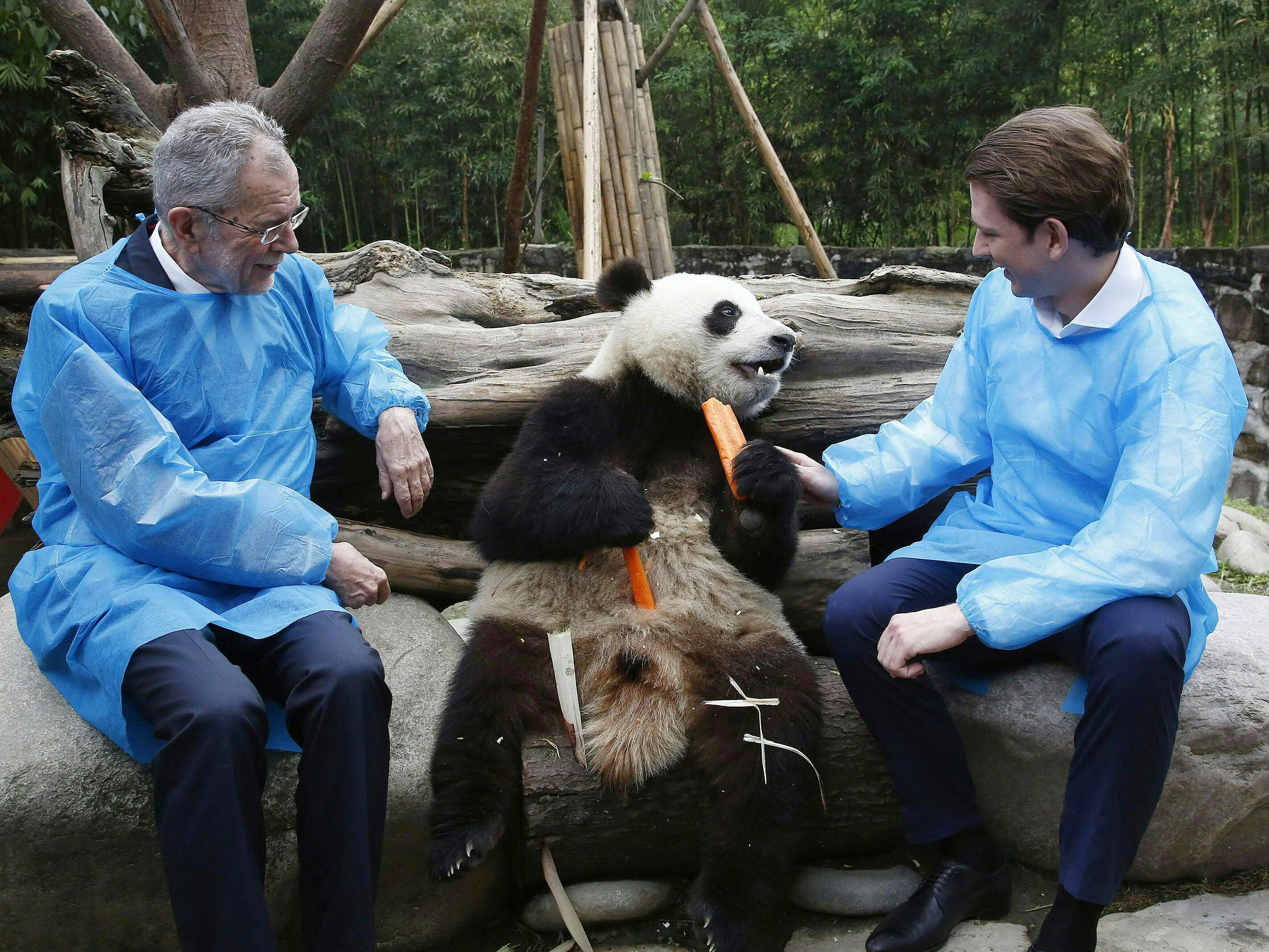 Van der Bellen und Kurz hatten sichtlich Spaß mit den Tieren.