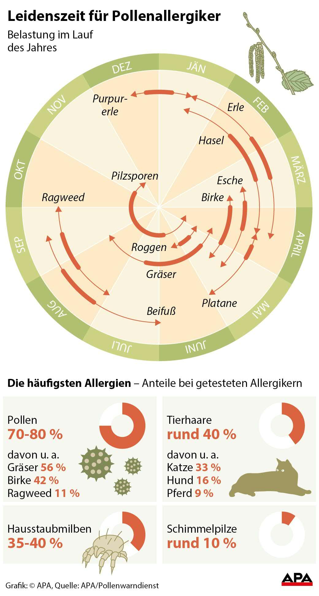 Leidenszeit für Pollenallergiker