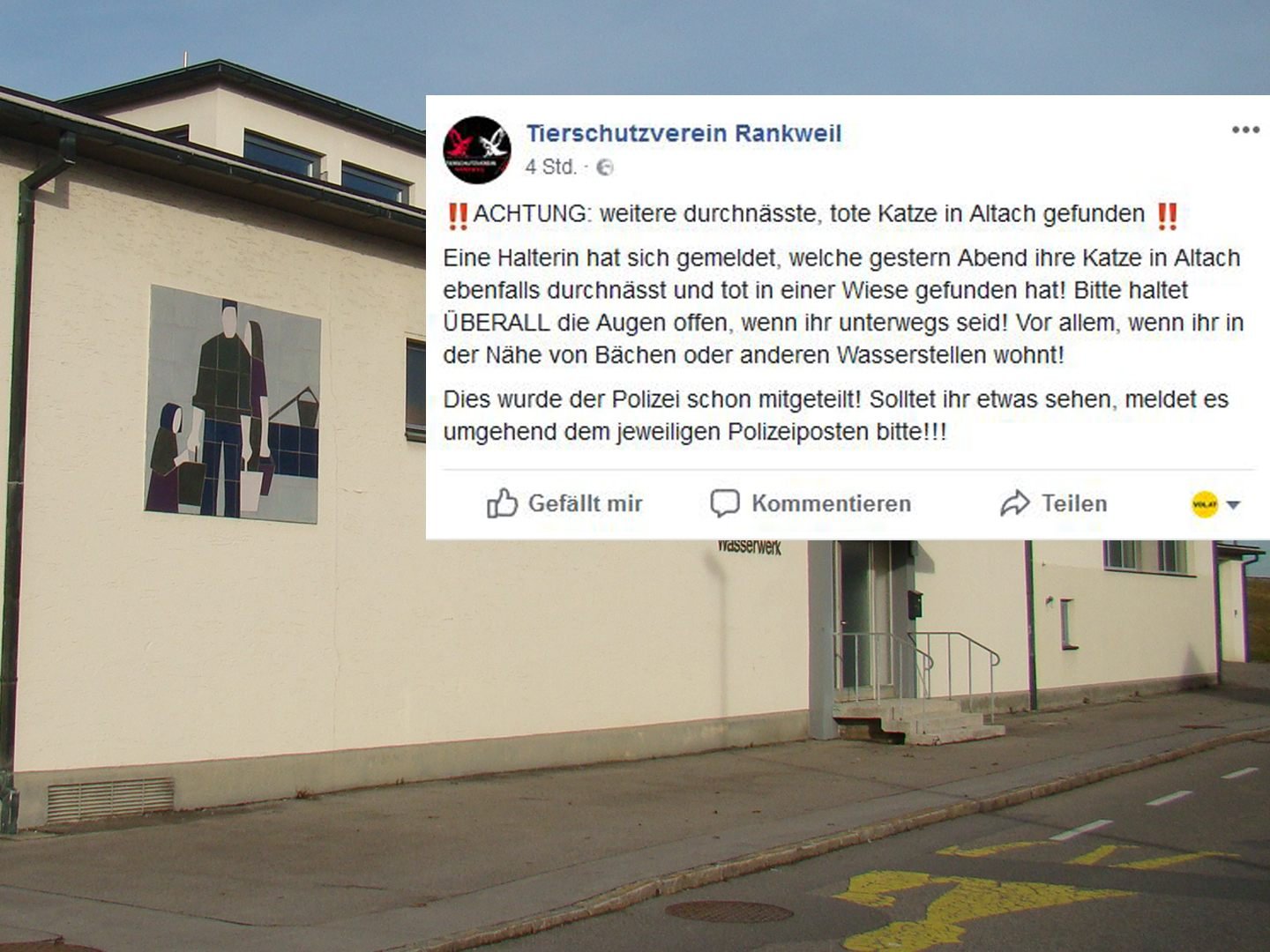Nachdem beim Wasserwerk in Lustenau mehrere Katzen tot aufgefunden werden, gibt es nun erste Berichte von toten Katzen in Altach.