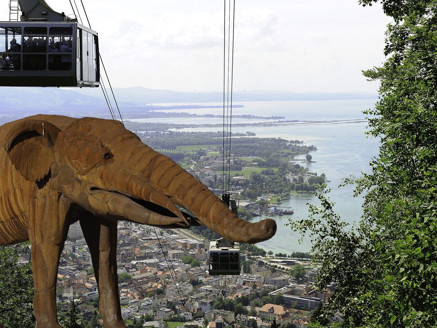 Fossilien von Urzeit-Elefant entdeckt.