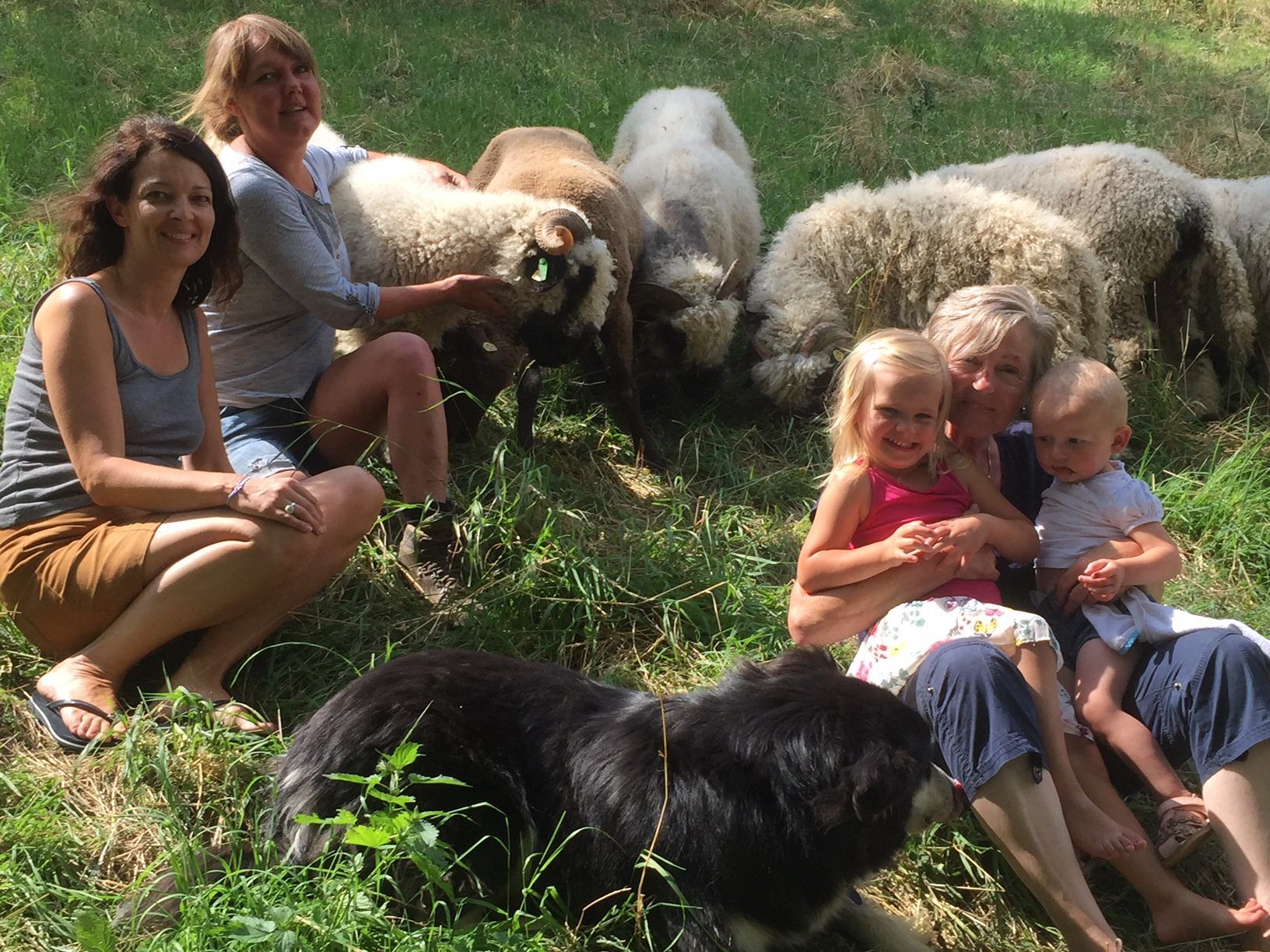 Wieder glücklich vereint (v. l.): Andrea Petermann, Claudia Natter, Hund Barry, Töchterchen Livia, Oma Ilga, die kleine Rosa und ihre wollige Herde.