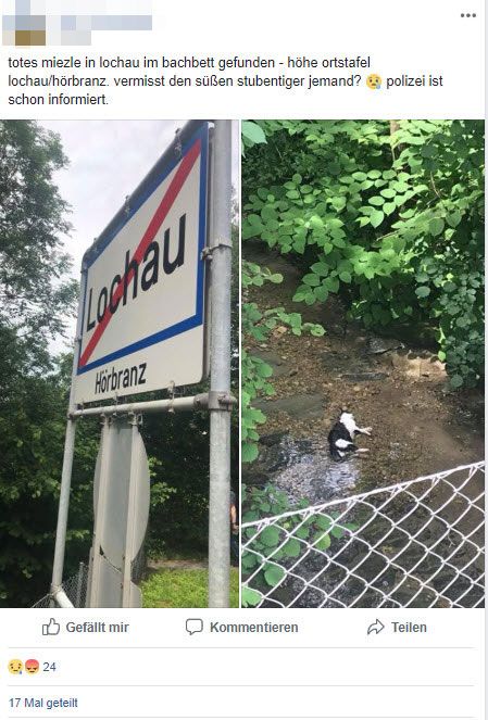 Der Beitrag wurde bereits 17 Mal geteilt.