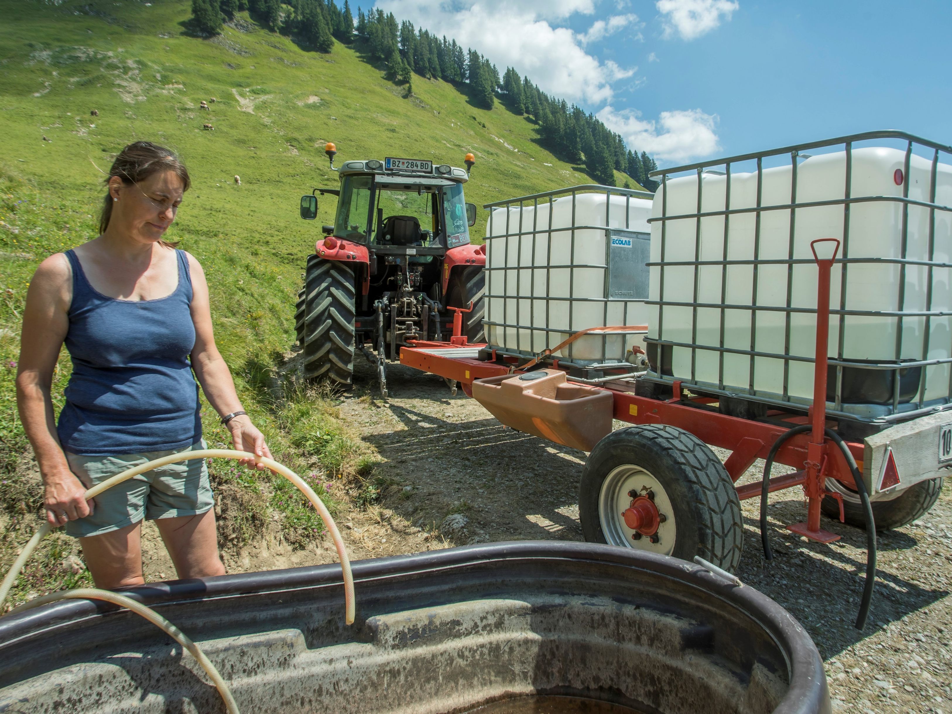 Grasmangel und Wasserknappheit auf den Alpen