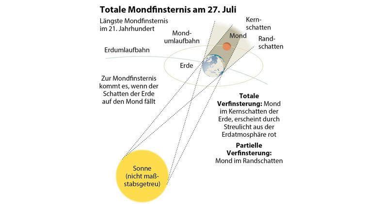 APA 