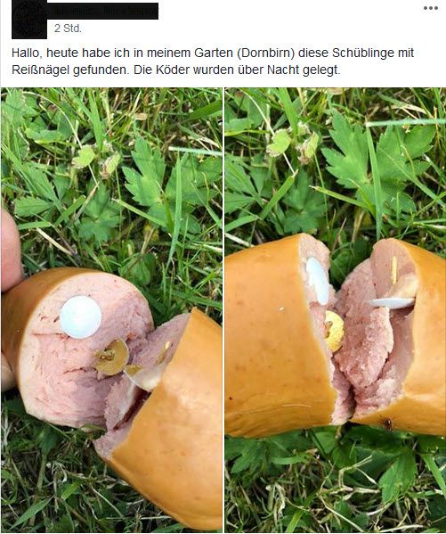 Köder gelegt
