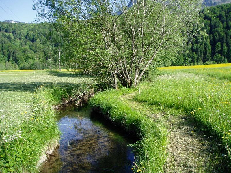 Barfußgehen ist ein hervorragendes Training für Körper und Geist