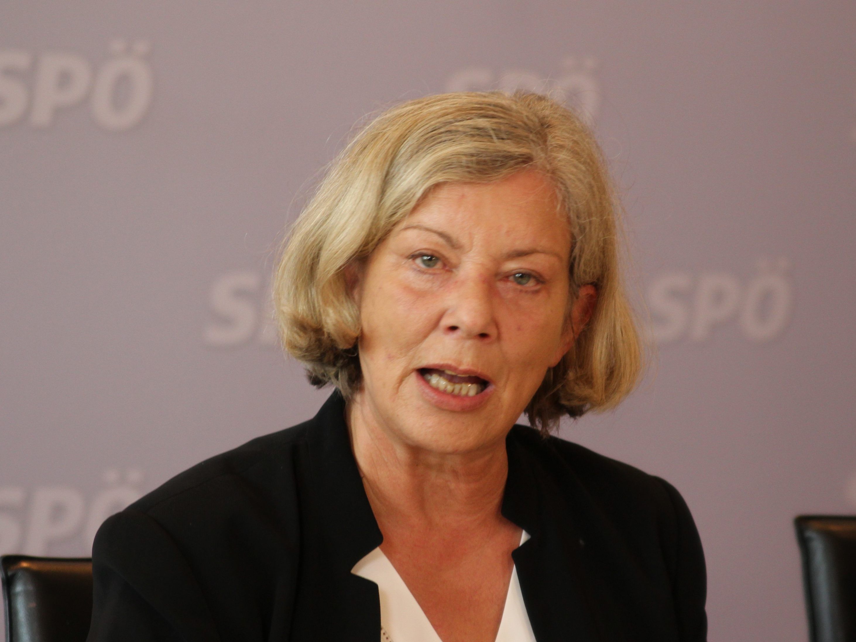 SPÖ_Landtagsabgeordnete Gabi Sprickler-Falschlunger übt Kritik am Kinder- und Jugendanwalt.