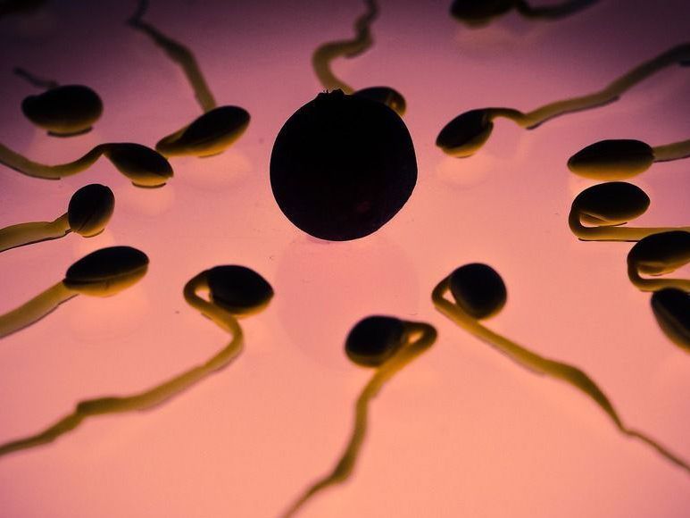 Sperma könnte die Rettung sein gegen Gebärmutterhalskrebs