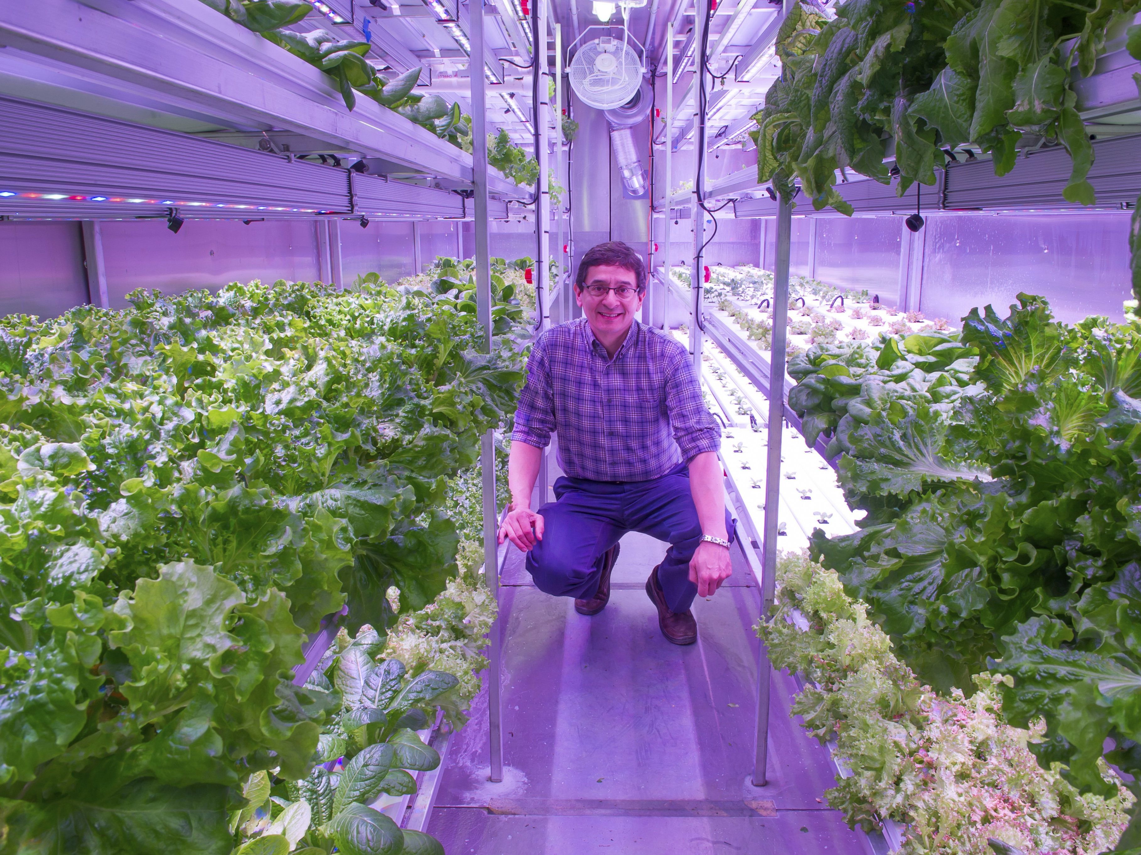 Salat selbst in Alaska: Hier steht Will Anderson neben seiner Indoor-Farm in Kotzebue, Alaska.