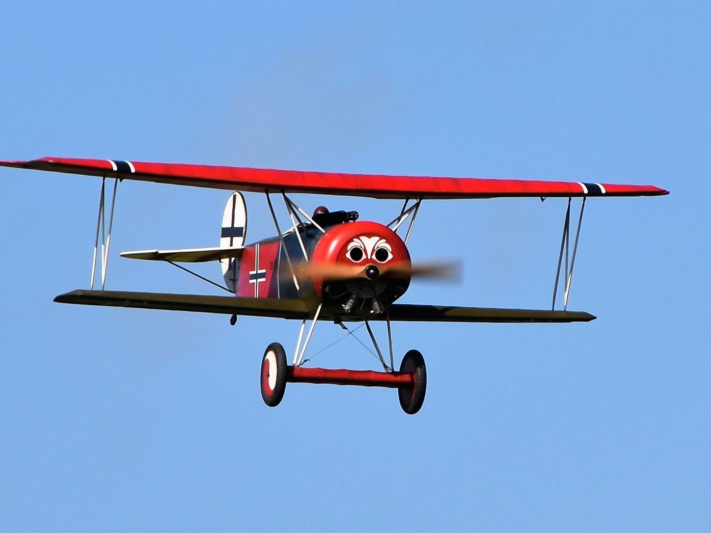 Die Modellflugschau - ein spannendes Erlebnis für Groß und Klein