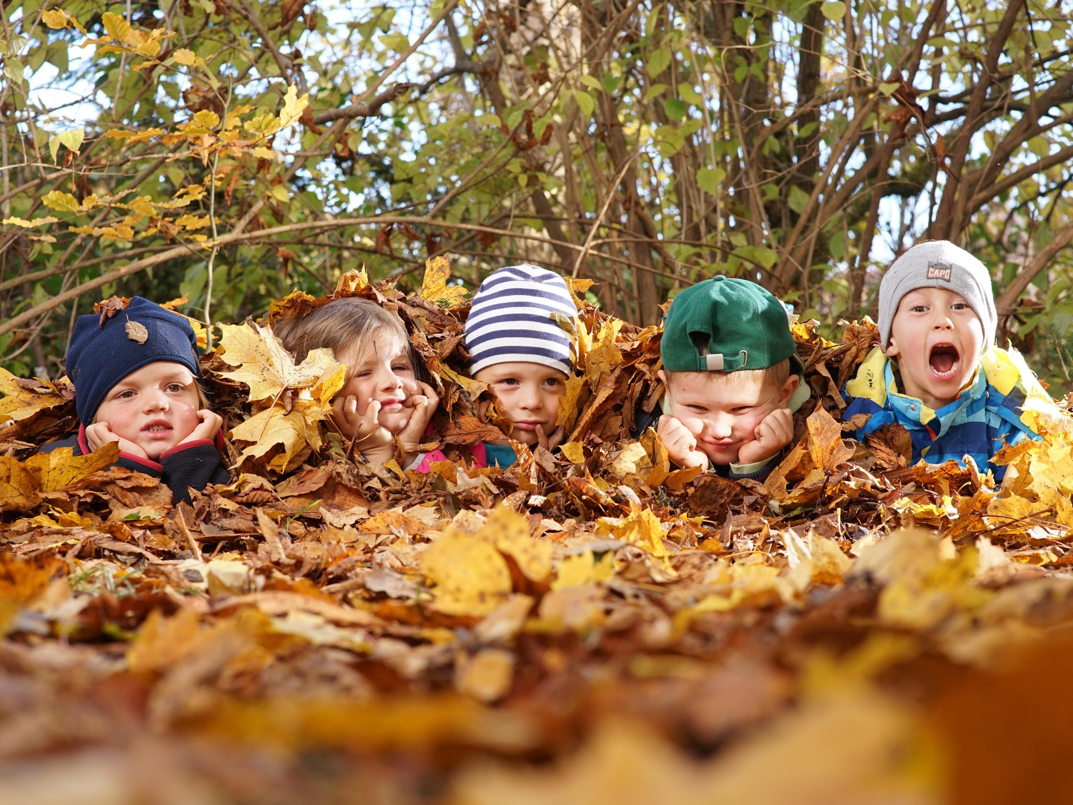 Die Kinder vom Waldkindergarten Andelsbuch freuen sich über den dicken Blätterteppich im Herbstwald.