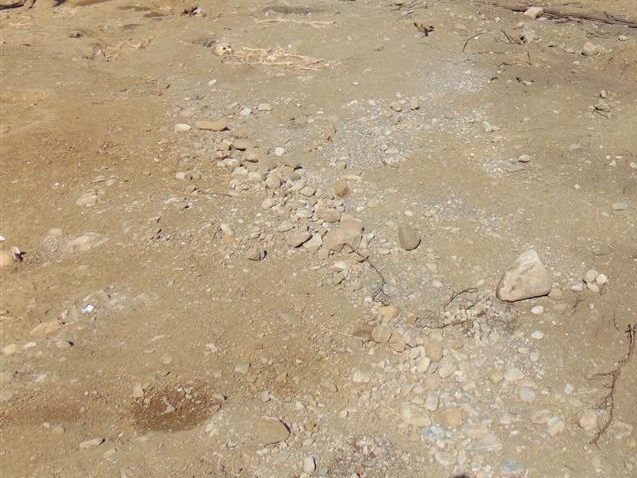 Die Überreste im Sulner Gräberfeld könnten mehr als 1000 Jahre alt sein.