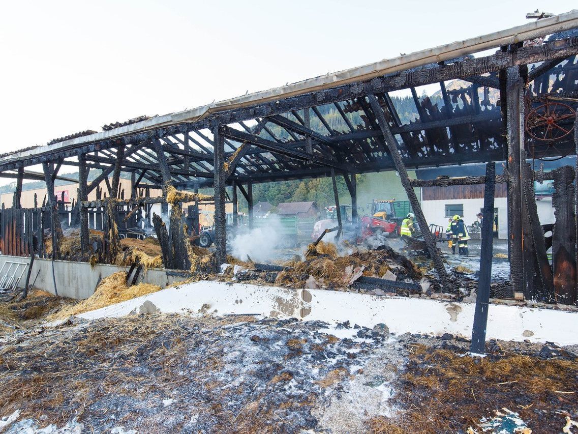 Stallgebäude in Thüringen ausgebrannt