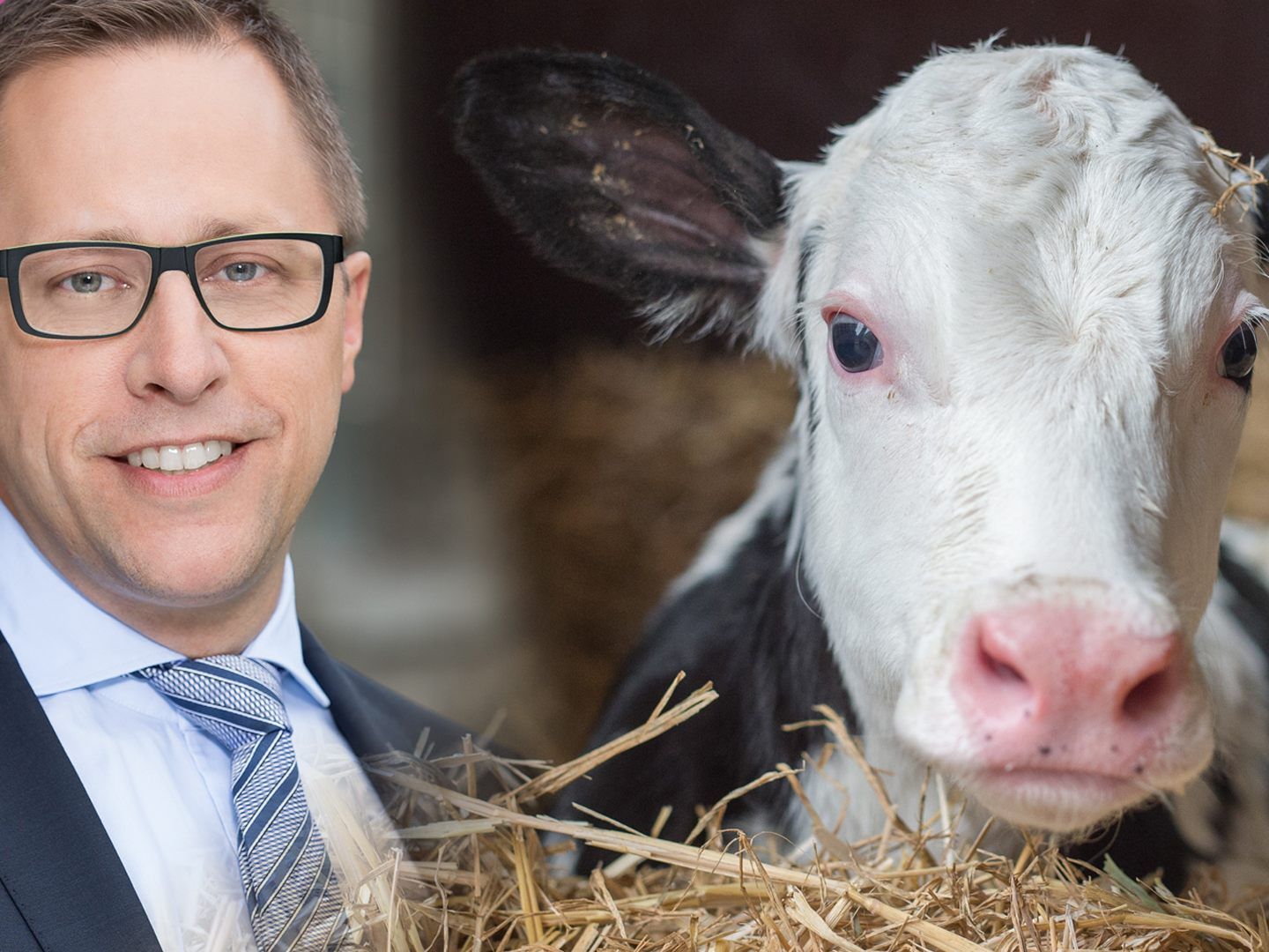 Daniel Matt (NEOS) plädiert für eine Rinderzucht nach schweizer Vorbild.