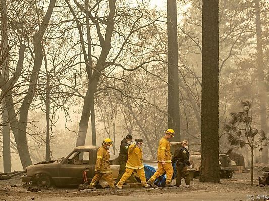 In Kalifornien wüten verheerende Waldbrände