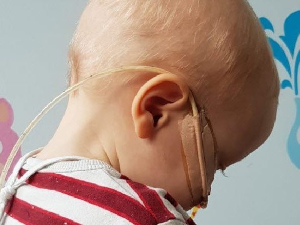 Vielleicht bist Du der einzige Lebensretter für den kleinen Maxi