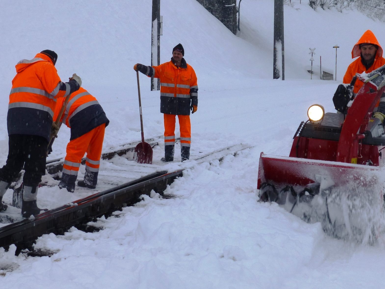 Der bevorstehende Winter gibt ein erneutes kräftiges Lebenszeichen