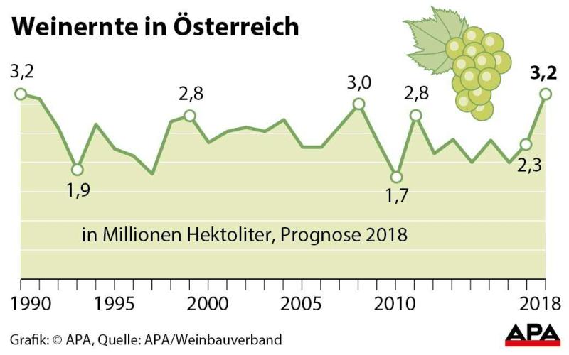 Weinernte in Österreich