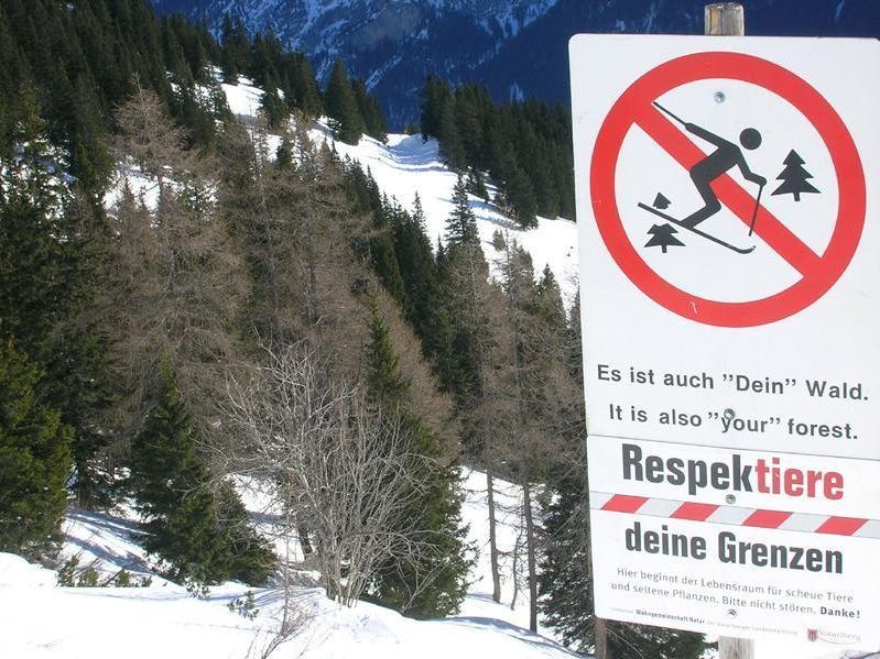Der Wald ist kein Skigebiet.