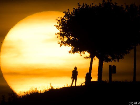 Die Sommerhitze forderte letztes Jahr Todesopfer