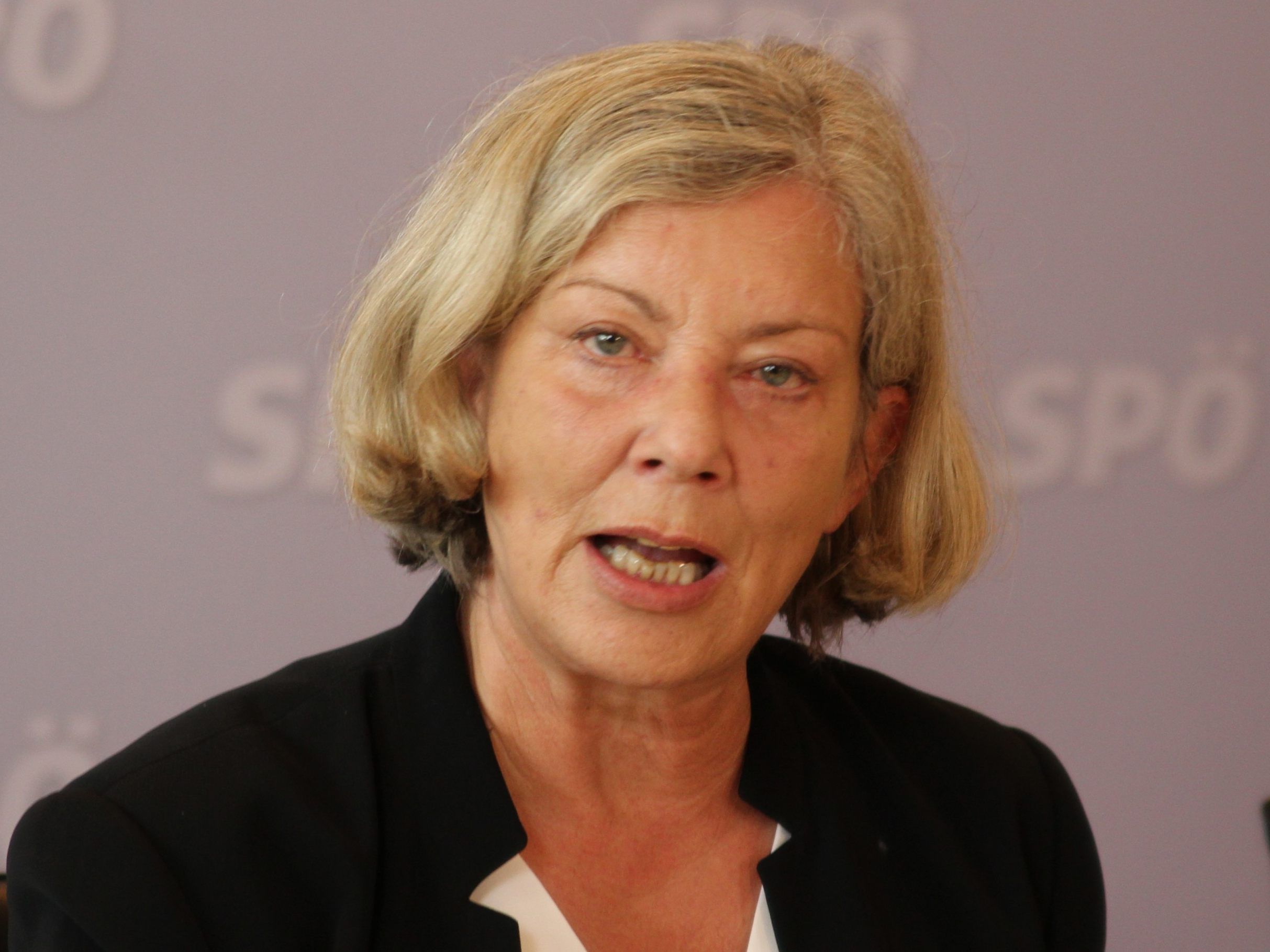 SPÖ-Bildungssprecherin Gabi Sprickler-Falschlunger.