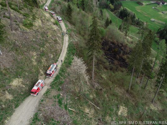 Rund ein Hektar großes Waldstück betroffen