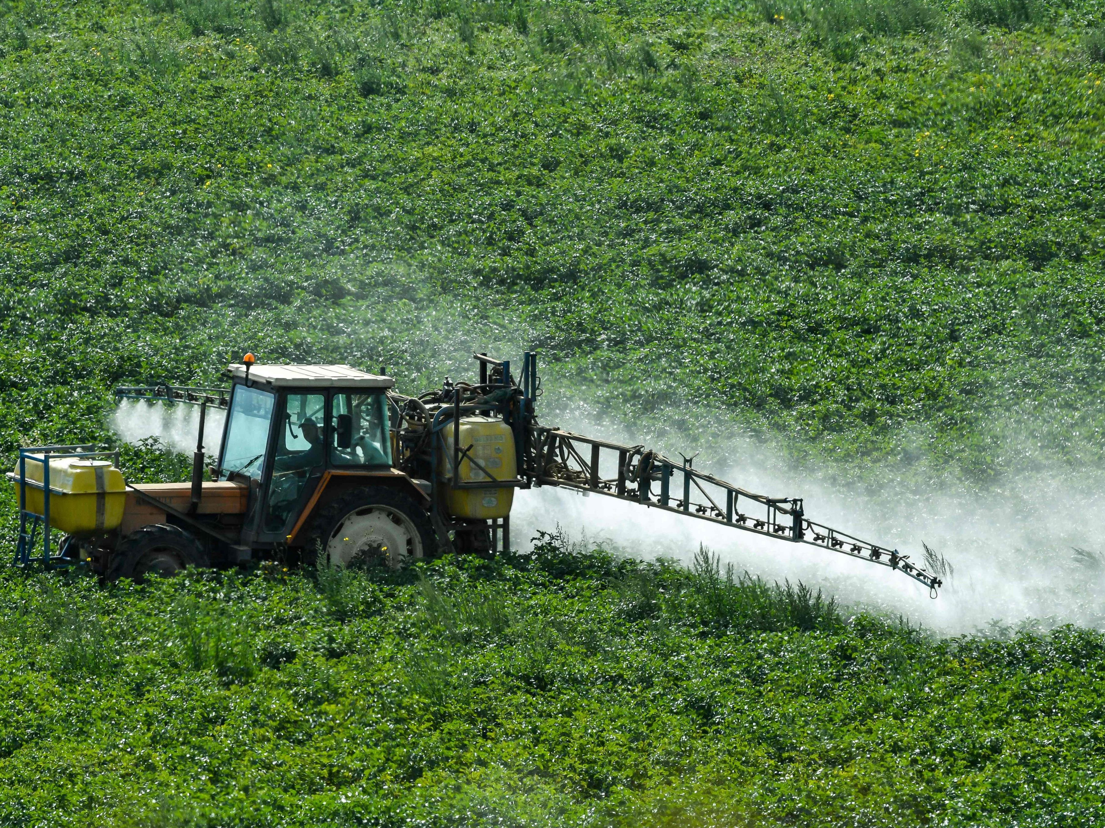 Glyphosat ist "wahrscheinlich krebserregend".