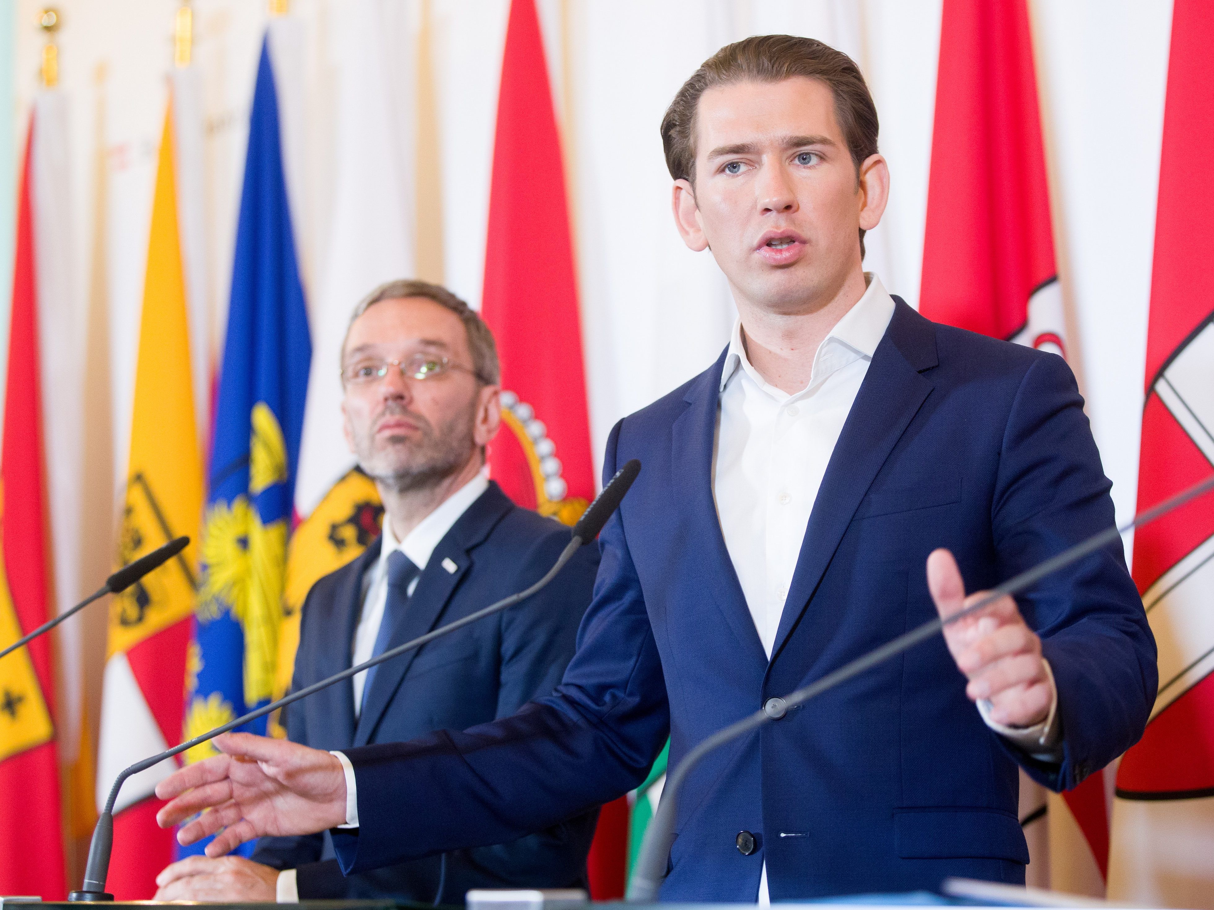 Bei einer Ablöse Kickls wollen alle FPÖ-Minister geschlossen gehen.