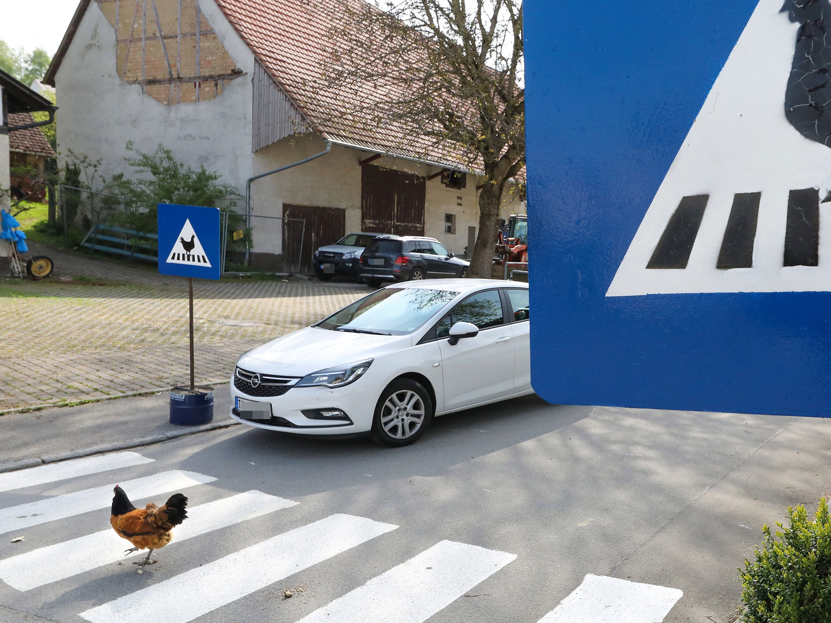 Der Zebrastreifen für Hühner muss laut Stadtverwaltung bald wieder verschwinden.