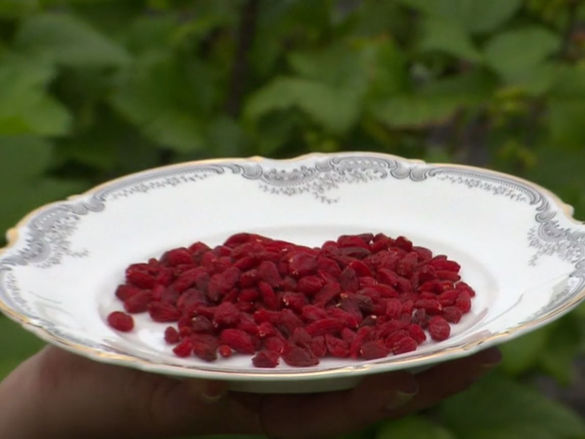 Die Goji-Beere gilt als wahrer "Wunder-Frucht".