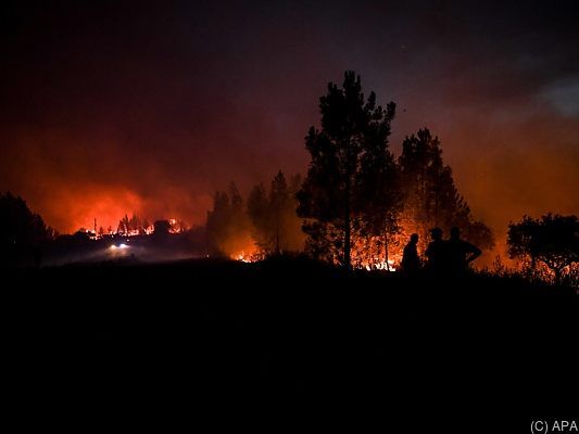 Rund 1.000 Feuerwehrleute sind im Einsatz