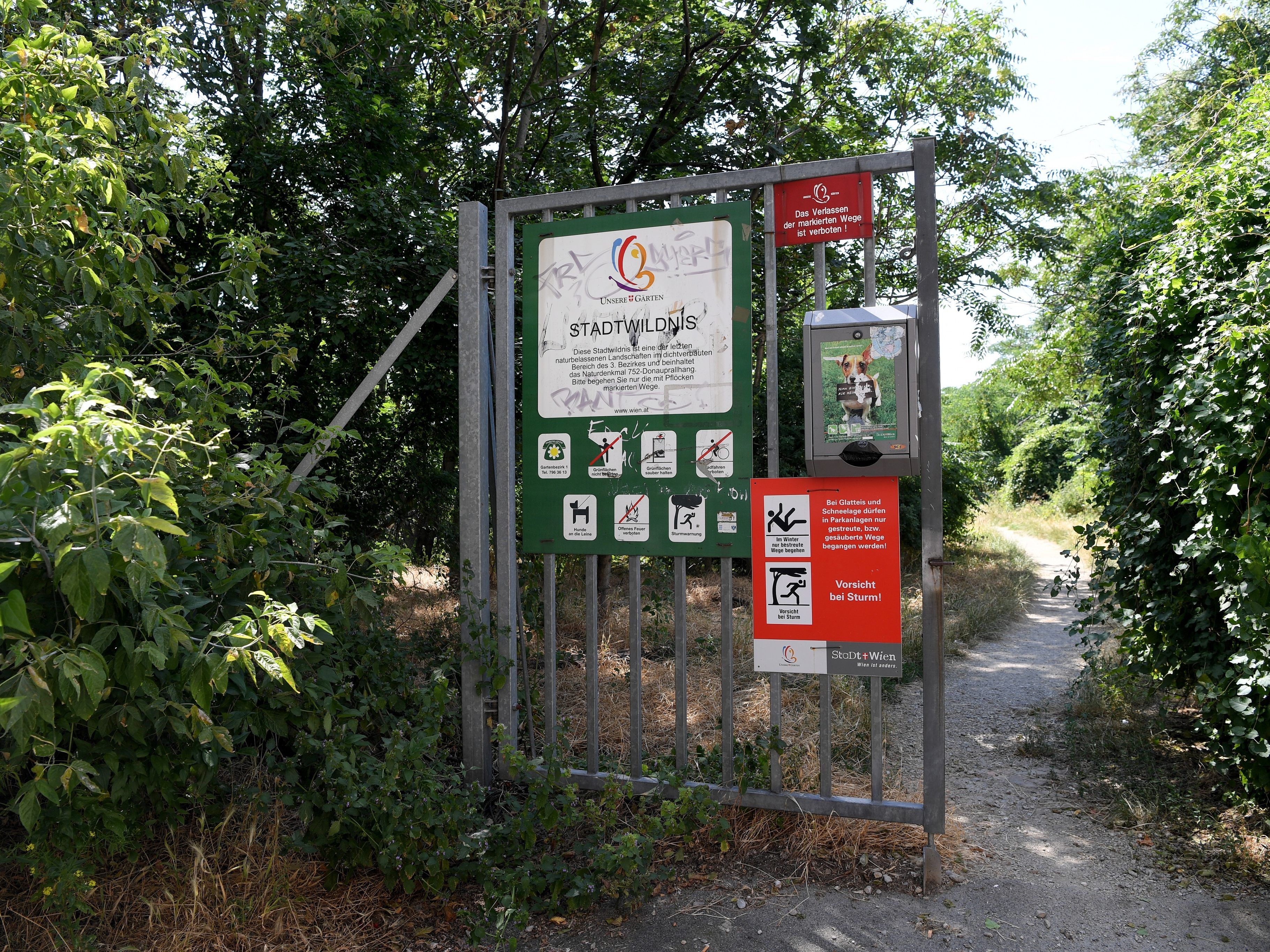 Am Montag wurde die Leiche in dem Wiener Park entdeckt.