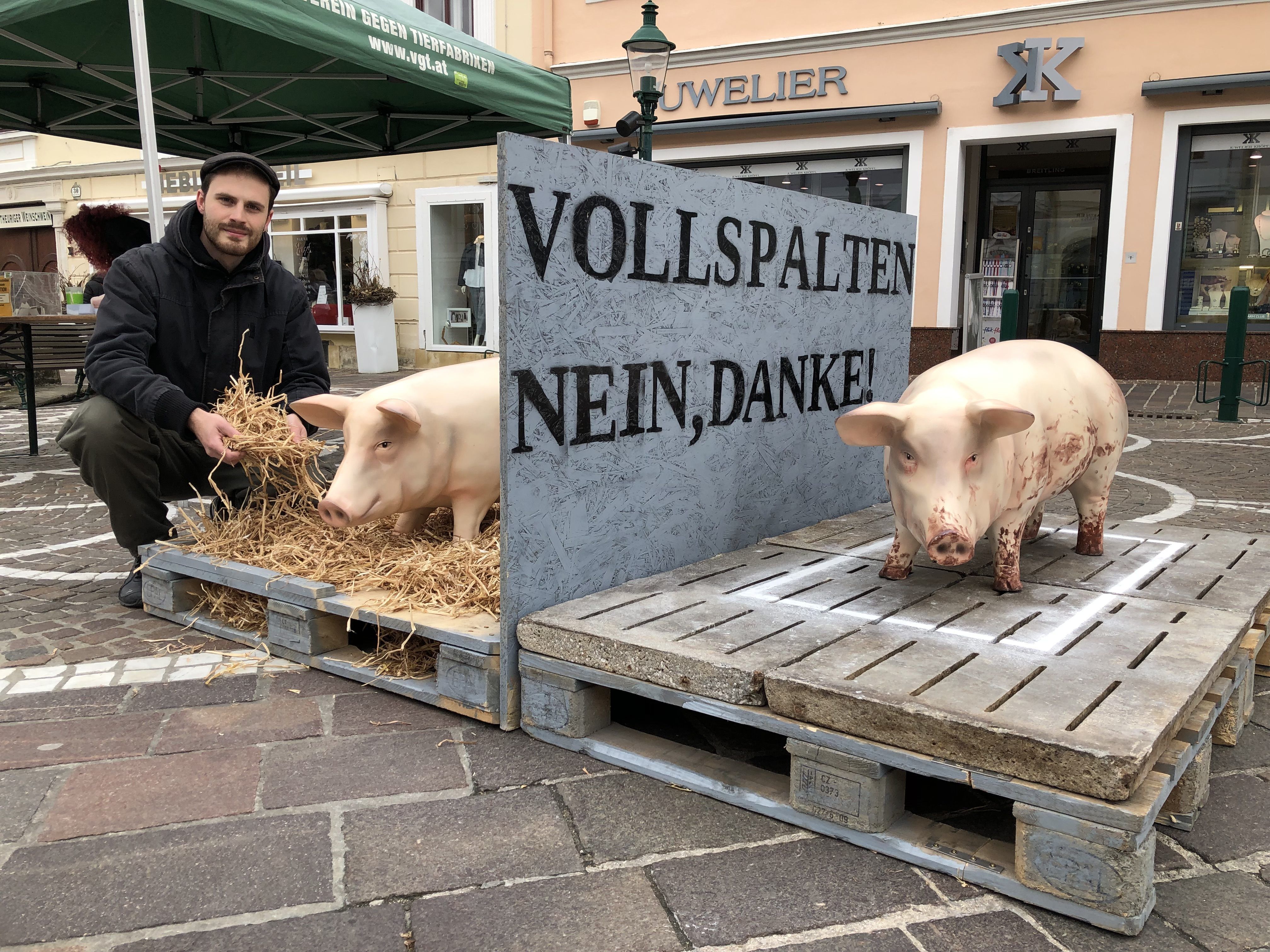 Der VGT macht sich schon seit langem für die Schweinehaltung ohne Vollspaltböden stark.