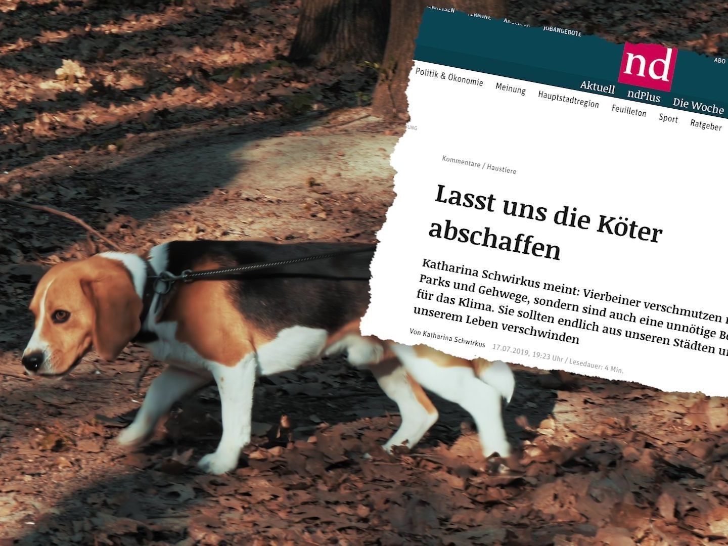 Journalistin sorgt mit Aussagen für Empörung im Netz.