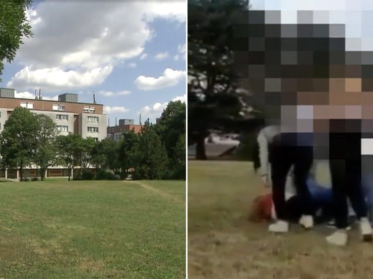 In einem Park in Wien-Liesing kam es zu der brutalen Attacke.