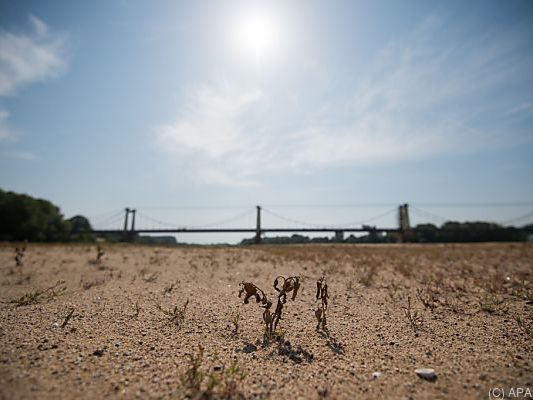 17 Länder sind schwer von Trockenheit betroffen